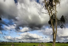 近场比赛取得胜平,阿根廷上次输给巴西还是在年.