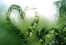 东契奇湖人首秀轻取爵士 搭档詹姆斯初显威力.