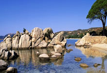 101-98,CBA劲旅拒绝连败:重返前四,赢下关键一战,空砍43分.